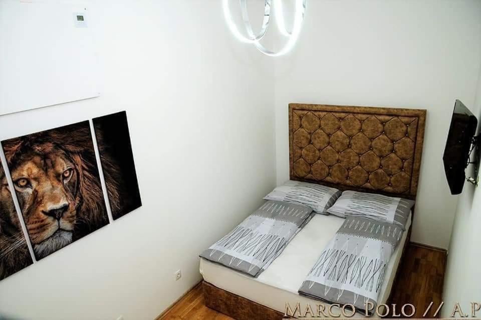 Markopolo Apartments Wien Ngoại thất bức ảnh